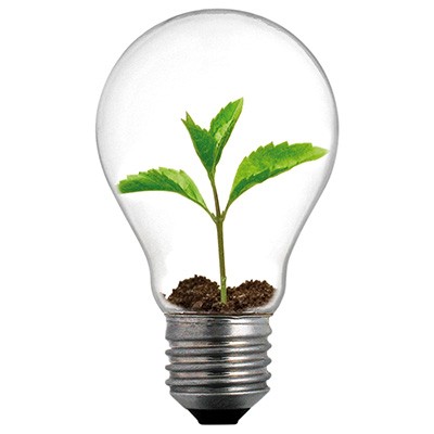 bulb.jpg